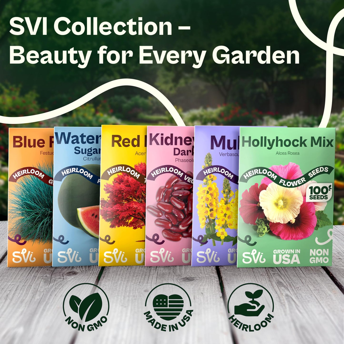 SVI 50 Teddy Bear Sunflower Seeds (Helianthus annuus) – Dwarf Teddy Bear Sunflower Seed Packets – Annual Cut Flower Seeds for Outdoor Garden & Indoor Garden, Containers, Patios, Flower Beds