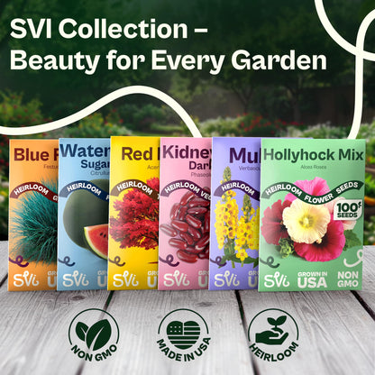 SVI 50 Teddy Bear Sunflower Seeds (Helianthus annuus) – Dwarf Teddy Bear Sunflower Seed Packets – Annual Cut Flower Seeds for Outdoor Garden & Indoor Garden, Containers, Patios, Flower Beds