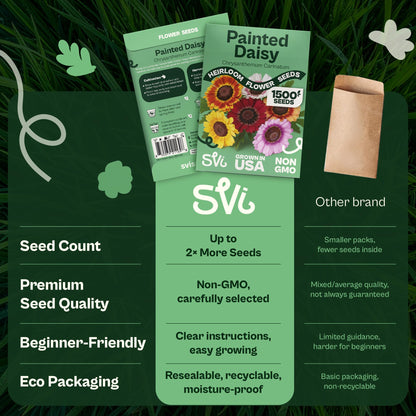 SVI 50 Teddy Bear Sunflower Seeds (Helianthus annuus) – Dwarf Teddy Bear Sunflower Seed Packets – Annual Cut Flower Seeds for Outdoor Garden & Indoor Garden, Containers, Patios, Flower Beds