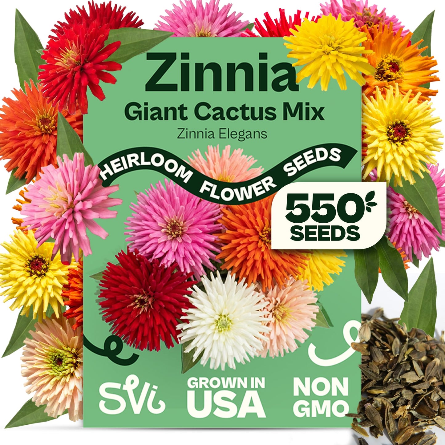 SVI 50 Teddy Bear Sunflower Seeds (Helianthus annuus) – Dwarf Teddy Bear Sunflower Seed Packets – Annual Cut Flower Seeds for Outdoor Garden & Indoor Garden, Containers, Patios, Flower Beds