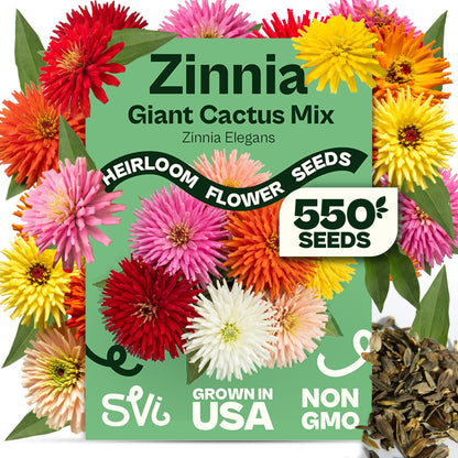 SVI 50 Teddy Bear Sunflower Seeds (Helianthus annuus) – Dwarf Teddy Bear Sunflower Seed Packets – Annual Cut Flower Seeds for Outdoor Garden & Indoor Garden, Containers, Patios, Flower Beds