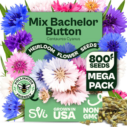 SVI 50 Teddy Bear Sunflower Seeds (Helianthus annuus) – Dwarf Teddy Bear Sunflower Seed Packets – Annual Cut Flower Seeds for Outdoor Garden & Indoor Garden, Containers, Patios, Flower Beds