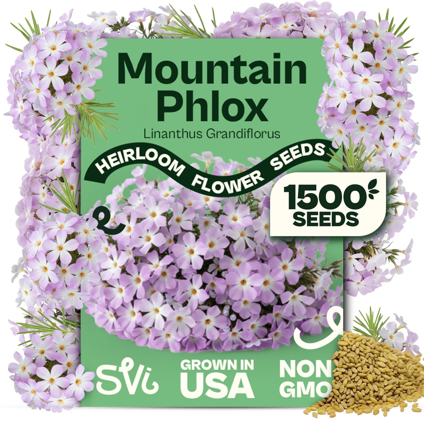SVI 50 Teddy Bear Sunflower Seeds (Helianthus annuus) – Dwarf Teddy Bear Sunflower Seed Packets – Annual Cut Flower Seeds for Outdoor Garden & Indoor Garden, Containers, Patios, Flower Beds