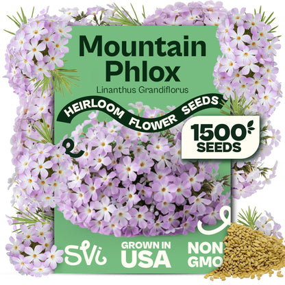 SVI 50 Teddy Bear Sunflower Seeds (Helianthus annuus) – Dwarf Teddy Bear Sunflower Seed Packets – Annual Cut Flower Seeds for Outdoor Garden & Indoor Garden, Containers, Patios, Flower Beds