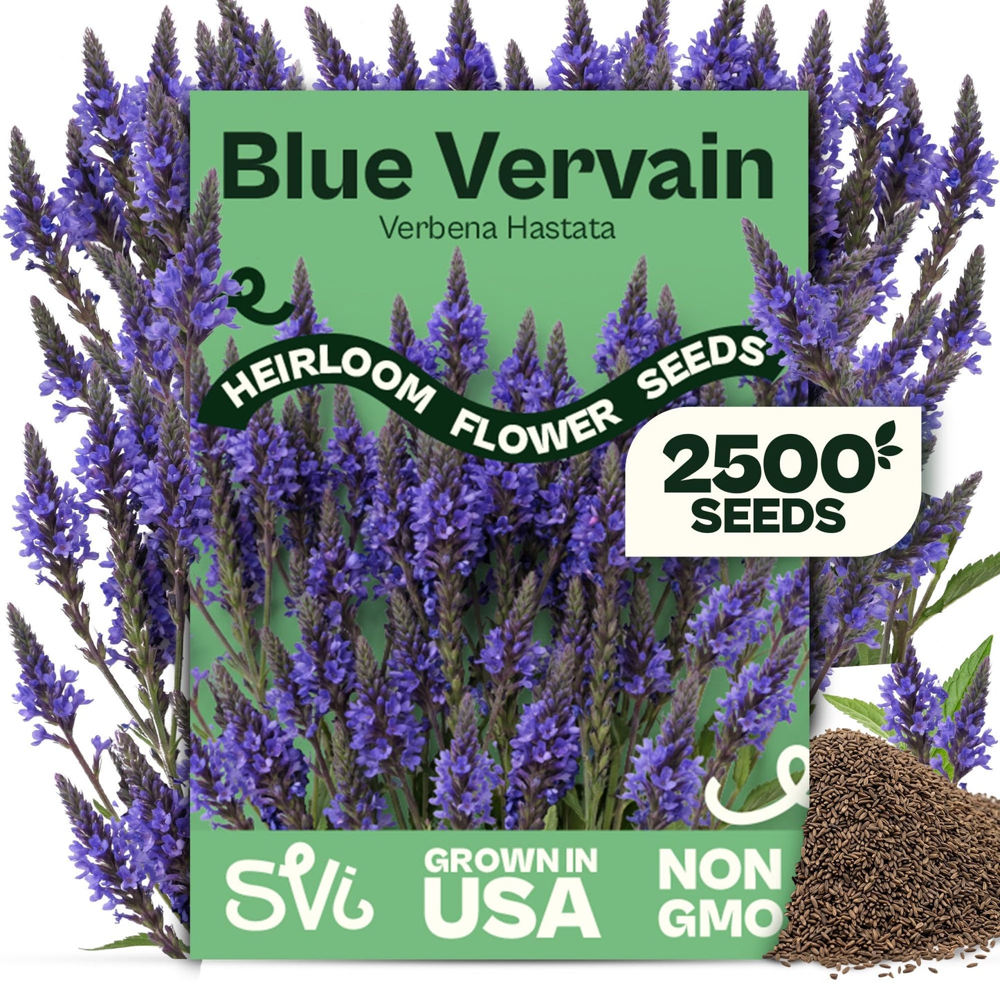 SVI 50 Teddy Bear Sunflower Seeds (Helianthus annuus) – Dwarf Teddy Bear Sunflower Seed Packets – Annual Cut Flower Seeds for Outdoor Garden & Indoor Garden, Containers, Patios, Flower Beds