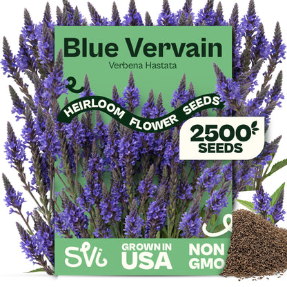 SVI 50 Teddy Bear Sunflower Seeds (Helianthus annuus) – Dwarf Teddy Bear Sunflower Seed Packets – Annual Cut Flower Seeds for Outdoor Garden & Indoor Garden, Containers, Patios, Flower Beds