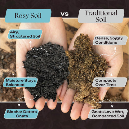 Rosy Soil Cactus Soil – Organic Succulent Potting Mix, Chunky Fast Draining, Peat-Free, Root Boosting Mix for AloeVera, Cacti, Indoor Succulents - 4qt