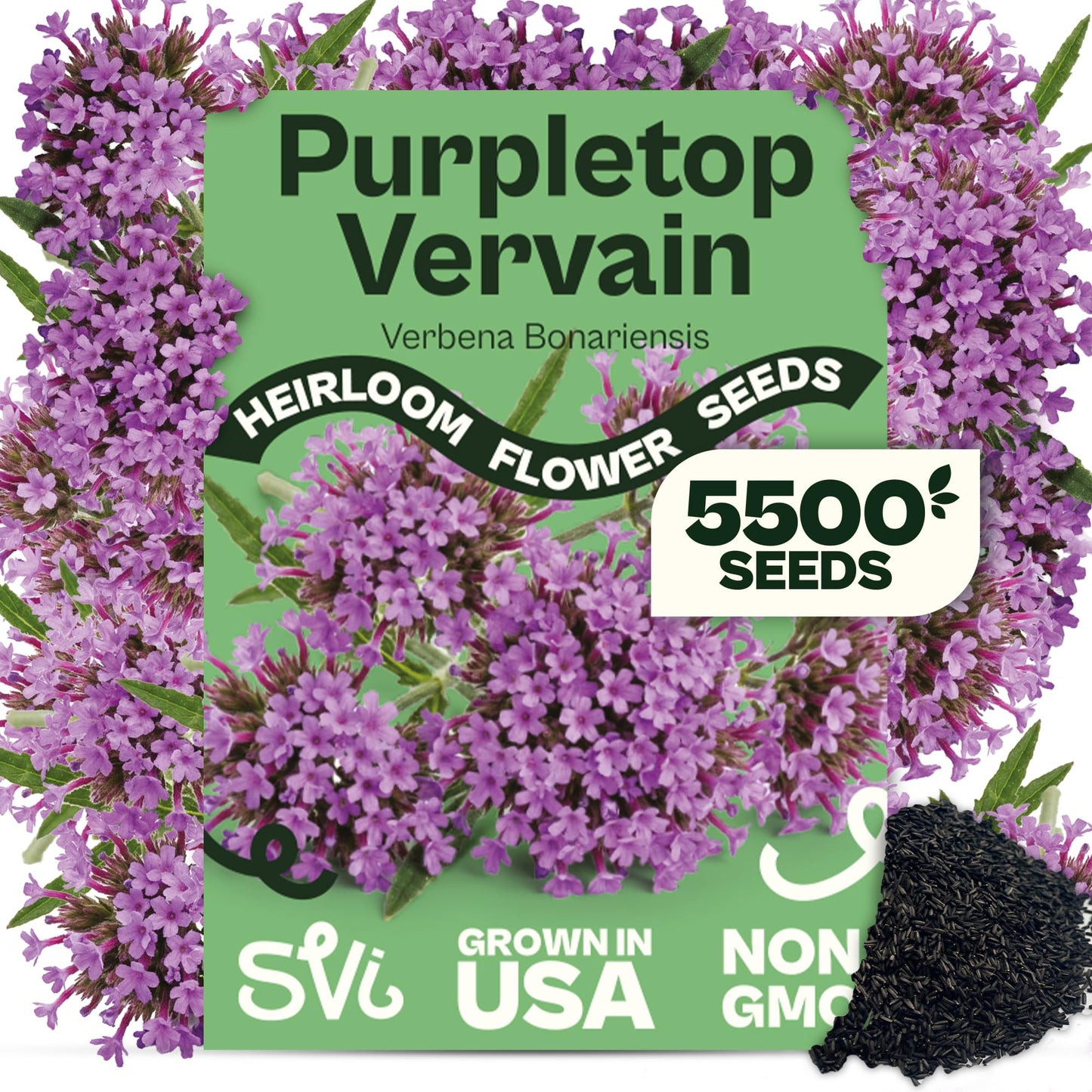 SVI 50 Teddy Bear Sunflower Seeds (Helianthus annuus) – Dwarf Teddy Bear Sunflower Seed Packets – Annual Cut Flower Seeds for Outdoor Garden & Indoor Garden, Containers, Patios, Flower Beds