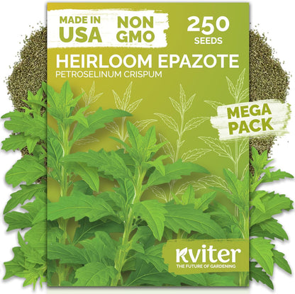 KVITER 150 Borage Seeds (Borago officinalis) - Blue Strawflower, Edible Flower for Teas, Attracts Pollinators - Heirloom Herb Seeds for Planting in Outdoor & Indoor Garden, Beds, Containers