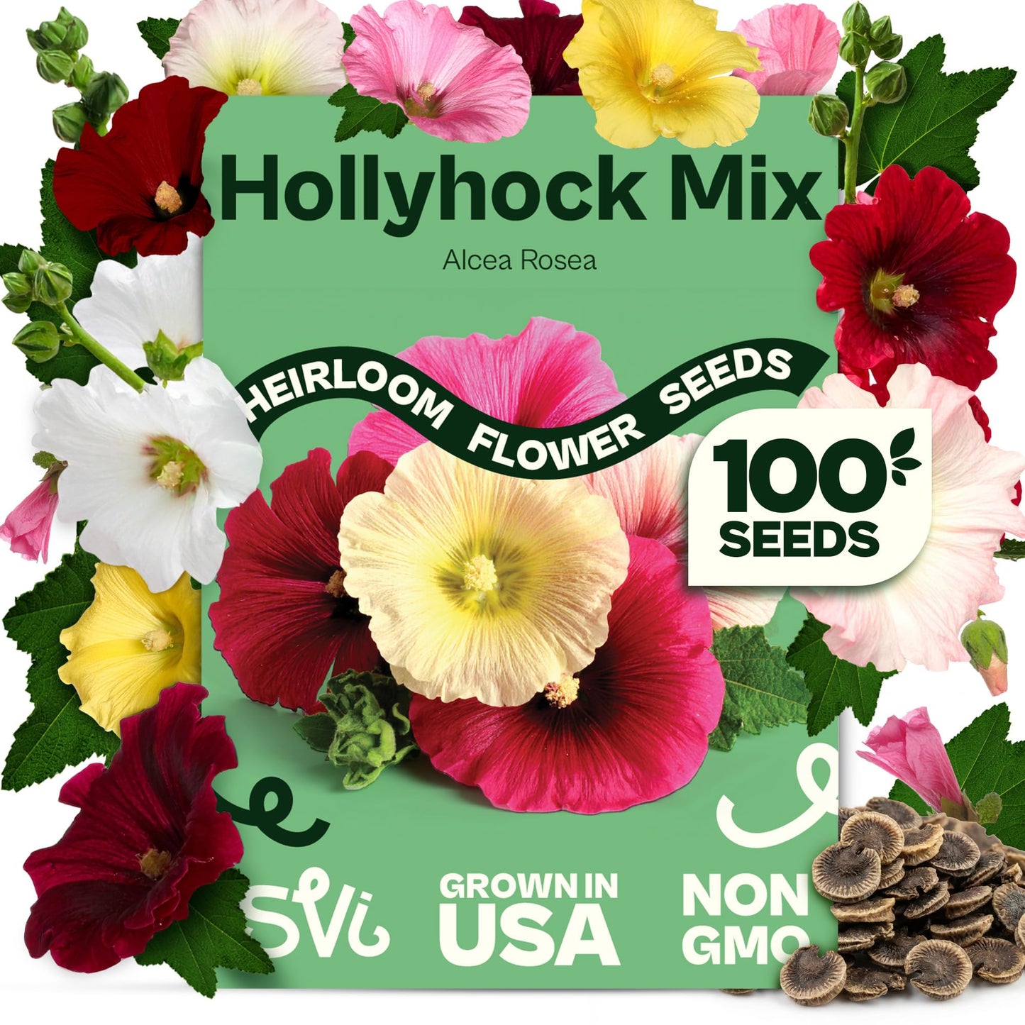 SVI 50 Teddy Bear Sunflower Seeds (Helianthus annuus) – Dwarf Teddy Bear Sunflower Seed Packets – Annual Cut Flower Seeds for Outdoor Garden & Indoor Garden, Containers, Patios, Flower Beds