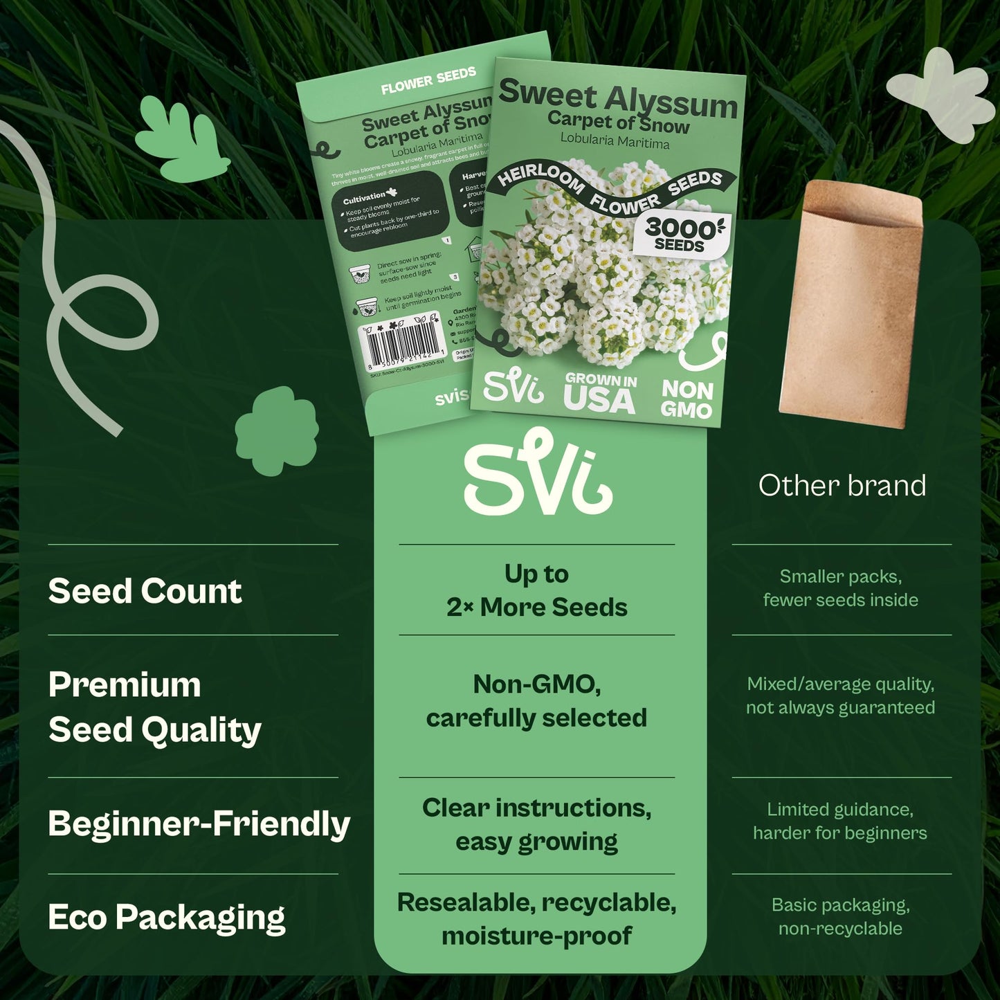 SVI 50 Teddy Bear Sunflower Seeds (Helianthus annuus) – Dwarf Teddy Bear Sunflower Seed Packets – Annual Cut Flower Seeds for Outdoor Garden & Indoor Garden, Containers, Patios, Flower Beds