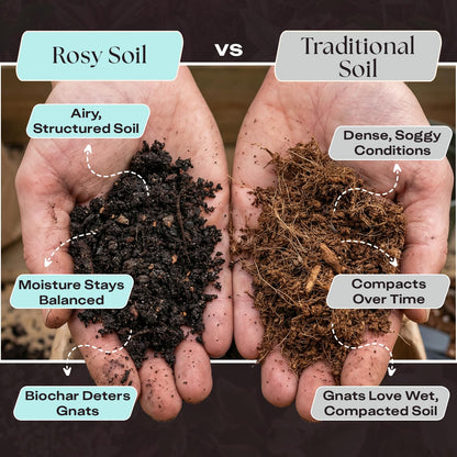 Rosy Soil Cactus Soil – Organic Succulent Potting Mix, Chunky Fast Draining, Peat-Free, Root Boosting Mix for AloeVera, Cacti, Indoor Succulents - 4qt