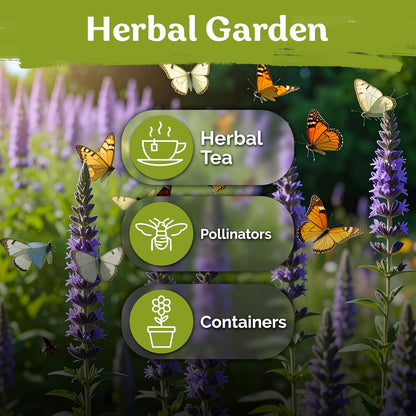 KVITER 150 Borage Seeds (Borago officinalis) - Blue Strawflower, Edible Flower for Teas, Attracts Pollinators - Heirloom Herb Seeds for Planting in Outdoor & Indoor Garden, Beds, Containers