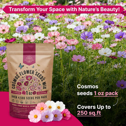 Sunflower Mix Seeds Pack 8 oz - Over 10,300 Non-GMO Heirloom Sunflower Seeds for Planting, Annual Flowers in Individual Seed Packet for Planting Home Garden Indoor & Outdoor Gardening