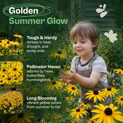 SVI 50 Teddy Bear Sunflower Seeds (Helianthus annuus) – Dwarf Teddy Bear Sunflower Seed Packets – Annual Cut Flower Seeds for Outdoor Garden & Indoor Garden, Containers, Patios, Flower Beds