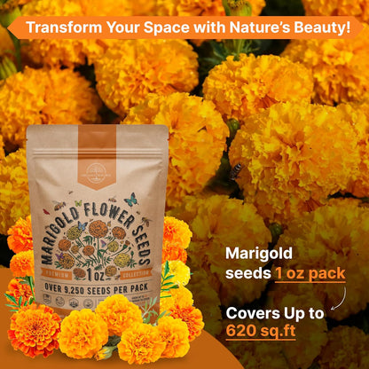 Sunflower Mix Seeds Pack 8 oz - Over 10,300 Non-GMO Heirloom Sunflower Seeds for Planting, Annual Flowers in Individual Seed Packet for Planting Home Garden Indoor & Outdoor Gardening