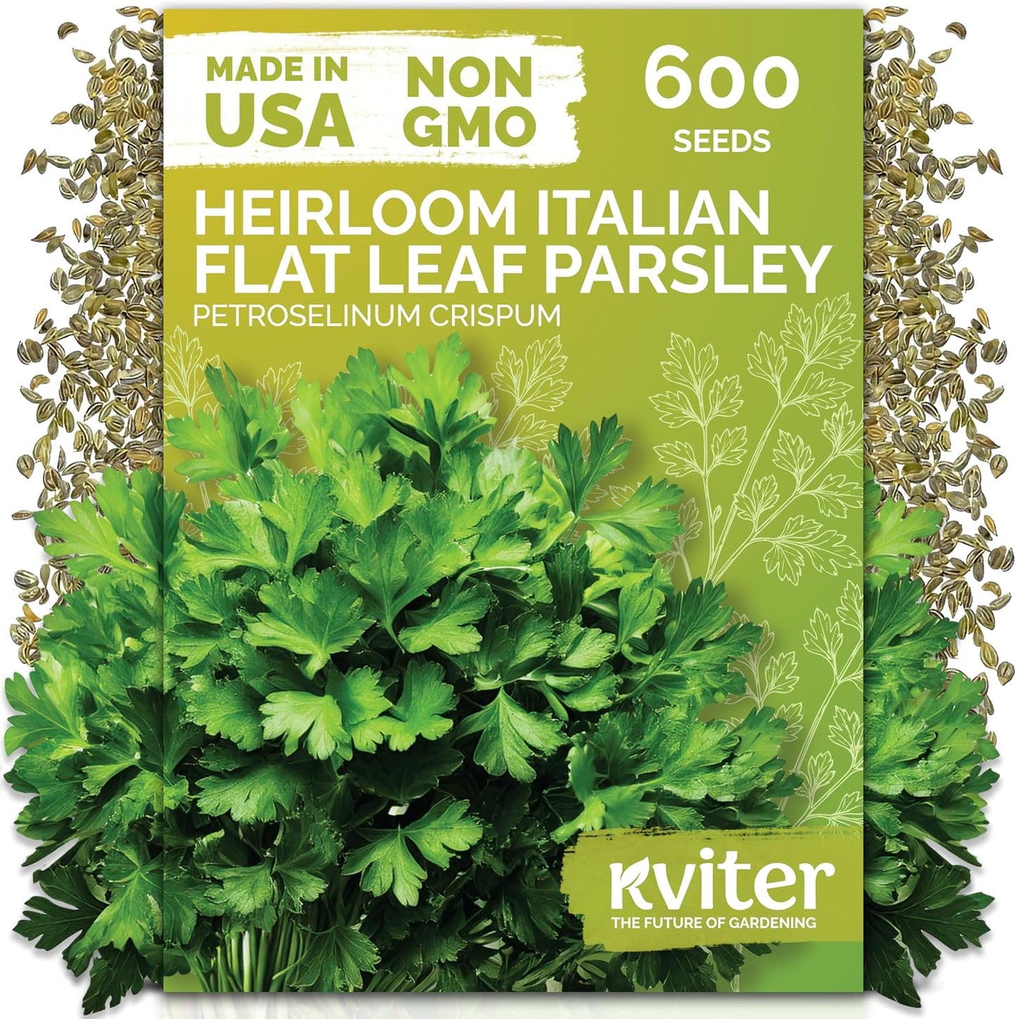 KVITER 150 Borage Seeds (Borago officinalis) - Blue Strawflower, Edible Flower for Teas, Attracts Pollinators - Heirloom Herb Seeds for Planting in Outdoor & Indoor Garden, Beds, Containers