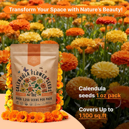 Sunflower Mix Seeds Pack 8 oz - Over 10,300 Non-GMO Heirloom Sunflower Seeds for Planting, Annual Flowers in Individual Seed Packet for Planting Home Garden Indoor & Outdoor Gardening