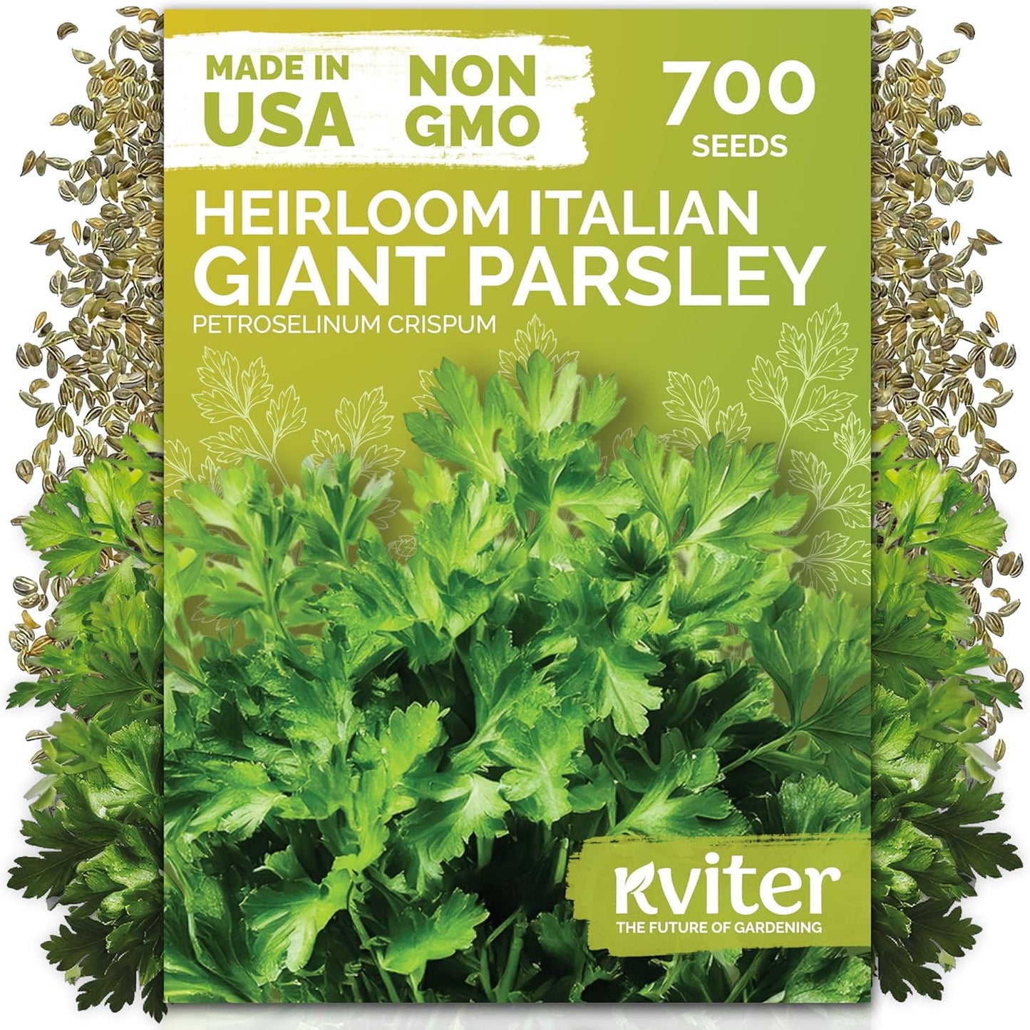 KVITER 150 Borage Seeds (Borago officinalis) - Blue Strawflower, Edible Flower for Teas, Attracts Pollinators - Heirloom Herb Seeds for Planting in Outdoor & Indoor Garden, Beds, Containers