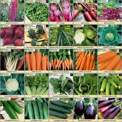 Ultimate Non-GMO Heirloom Survival Seed Vault – 23,000 Open-Pollinated Vegetable, Herb & Fruit Seeds for Planting – 144 Varieties for All USDA Hardiness Zones – Long Term Emergency Preparedness Seeds