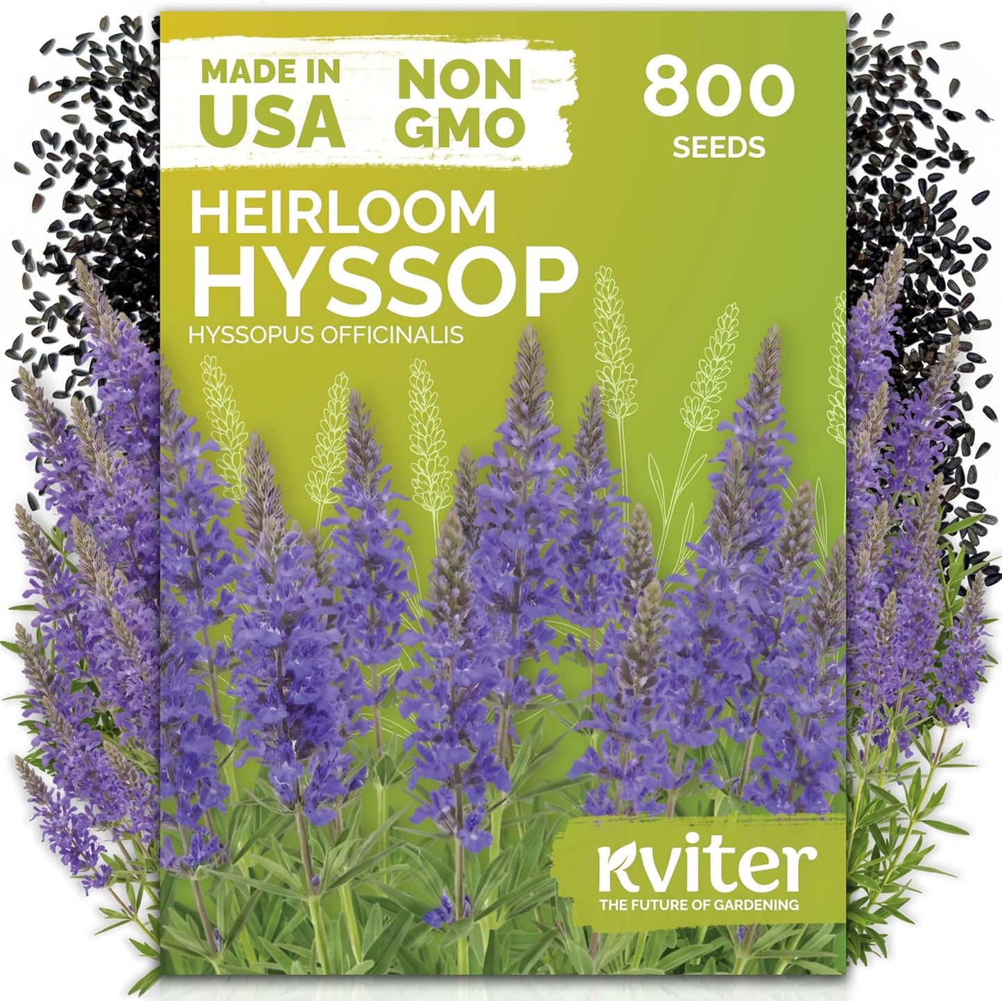 KVITER 150 Borage Seeds (Borago officinalis) - Blue Strawflower, Edible Flower for Teas, Attracts Pollinators - Heirloom Herb Seeds for Planting in Outdoor & Indoor Garden, Beds, Containers