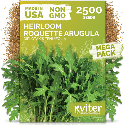 KVITER 150 Borage Seeds (Borago officinalis) - Blue Strawflower, Edible Flower for Teas, Attracts Pollinators - Heirloom Herb Seeds for Planting in Outdoor & Indoor Garden, Beds, Containers