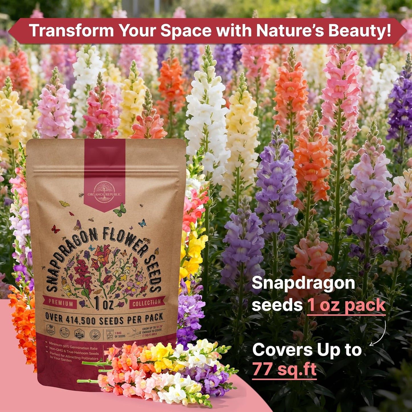 Sunflower Mix Seeds Pack 8 oz - Over 10,300 Non-GMO Heirloom Sunflower Seeds for Planting, Annual Flowers in Individual Seed Packet for Planting Home Garden Indoor & Outdoor Gardening