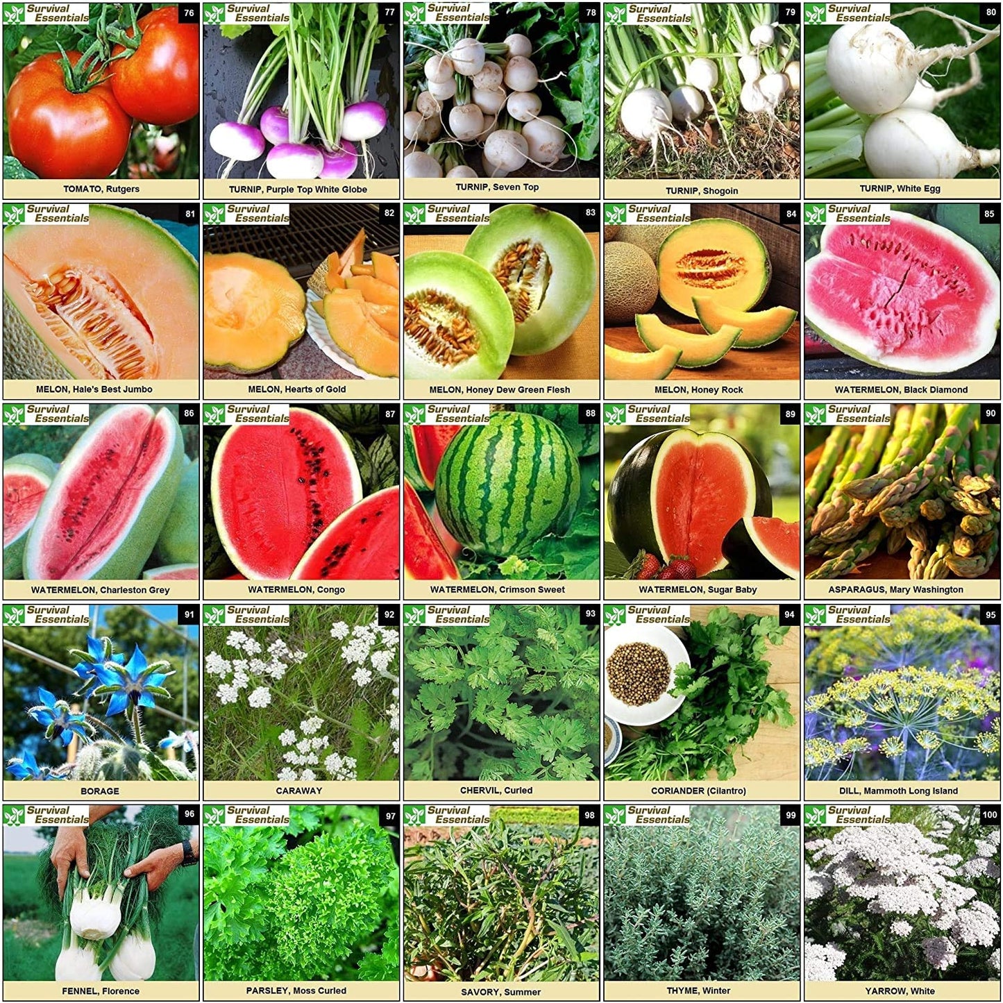 Ultimate Non-GMO Heirloom Survival Seed Vault – 23,000 Open-Pollinated Vegetable, Herb & Fruit Seeds for Planting – 144 Varieties for All USDA Hardiness Zones – Long Term Emergency Preparedness Seeds