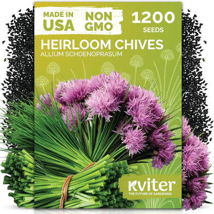 KVITER 150 Borage Seeds (Borago officinalis) - Blue Strawflower, Edible Flower for Teas, Attracts Pollinators - Heirloom Herb Seeds for Planting in Outdoor & Indoor Garden, Beds, Containers