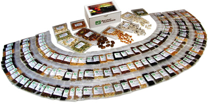 Ultimate Non-GMO Heirloom Survival Seed Vault – 23,000 Open-Pollinated Vegetable, Herb & Fruit Seeds for Planting – 144 Varieties for All USDA Hardiness Zones – Long Term Emergency Preparedness Seeds