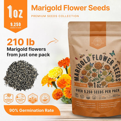 Sunflower Mix Seeds Pack 8 oz - Over 10,300 Non-GMO Heirloom Sunflower Seeds for Planting, Annual Flowers in Individual Seed Packet for Planting Home Garden Indoor & Outdoor Gardening