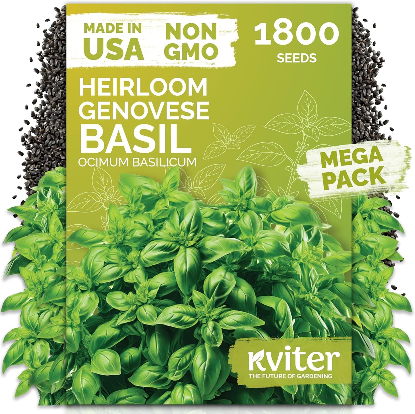 KVITER 150 Borage Seeds (Borago officinalis) - Blue Strawflower, Edible Flower for Teas, Attracts Pollinators - Heirloom Herb Seeds for Planting in Outdoor & Indoor Garden, Beds, Containers