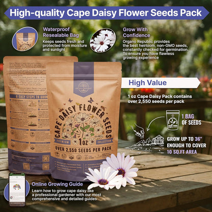 Sunflower Mix Seeds Pack 8 oz - Over 10,300 Non-GMO Heirloom Sunflower Seeds for Planting, Annual Flowers in Individual Seed Packet for Planting Home Garden Indoor & Outdoor Gardening