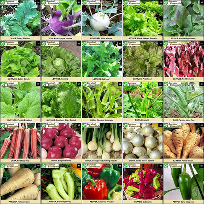 Ultimate Non-GMO Heirloom Survival Seed Vault – 23,000 Open-Pollinated Vegetable, Herb & Fruit Seeds for Planting – 144 Varieties for All USDA Hardiness Zones – Long Term Emergency Preparedness Seeds