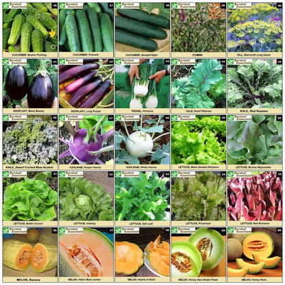 Ultimate Non-GMO Heirloom Survival Seed Vault – 23,000 Open-Pollinated Vegetable, Herb & Fruit Seeds for Planting – 144 Varieties for All USDA Hardiness Zones – Long Term Emergency Preparedness Seeds
