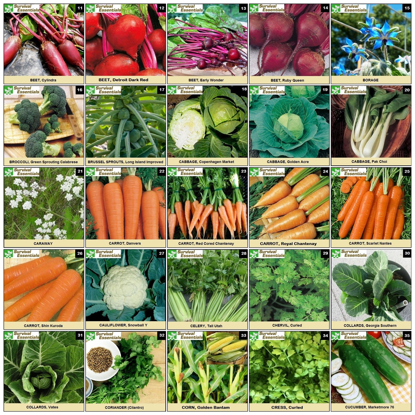 Ultimate Non-GMO Heirloom Survival Seed Vault – 23,000 Open-Pollinated Vegetable, Herb & Fruit Seeds for Planting – 144 Varieties for All USDA Hardiness Zones – Long Term Emergency Preparedness Seeds